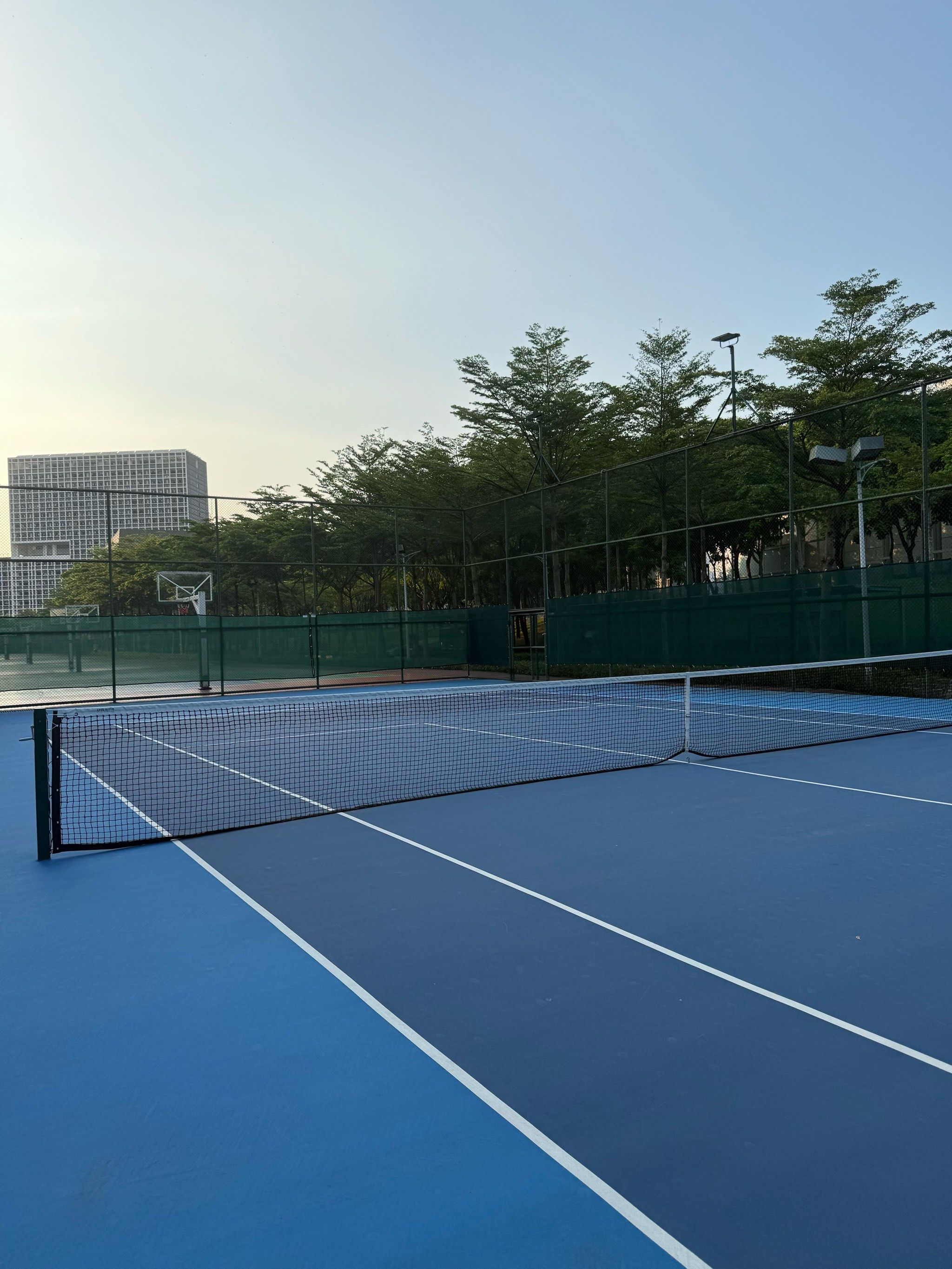 逐渐增多 逐渐增多