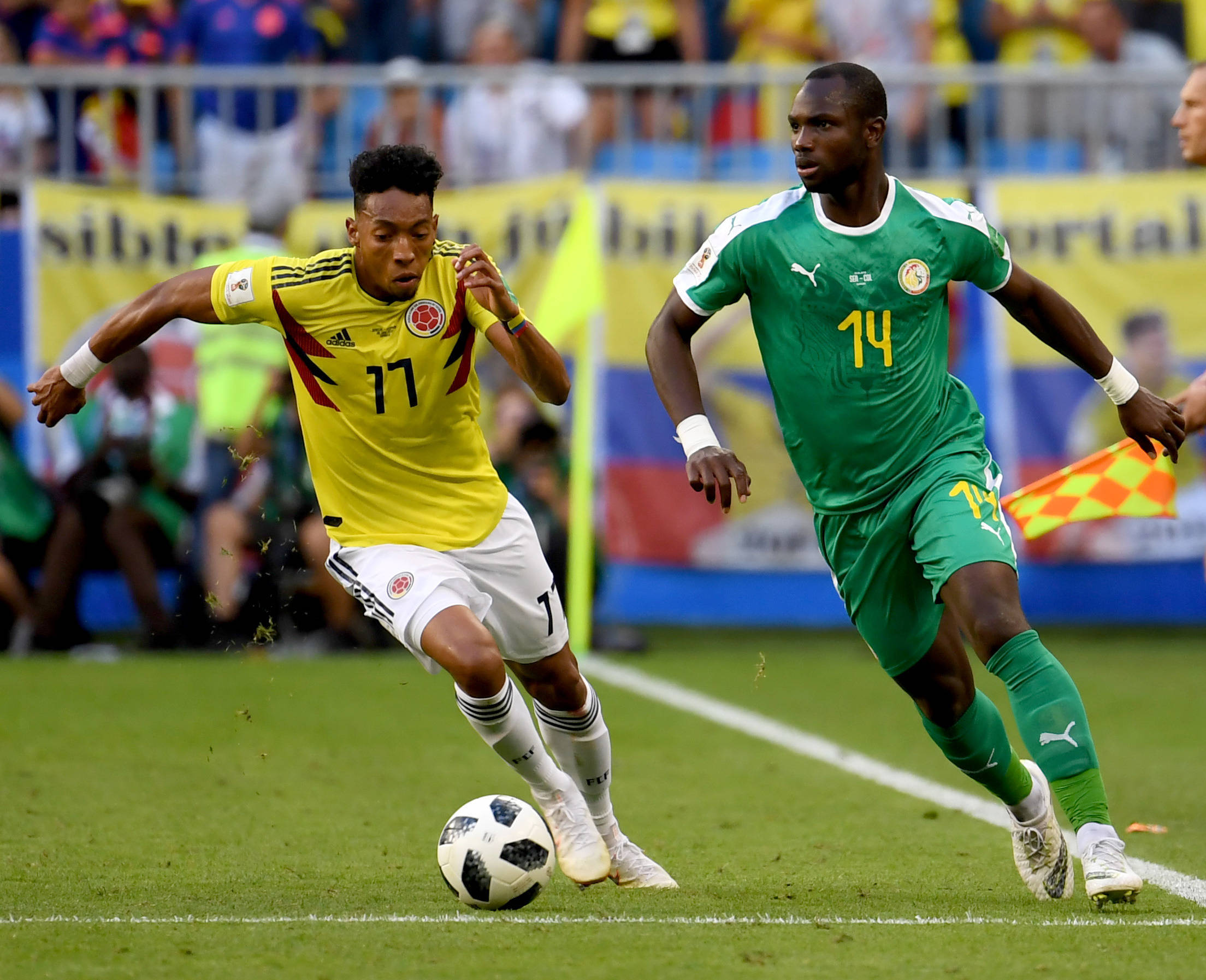 化的球员 化的球员